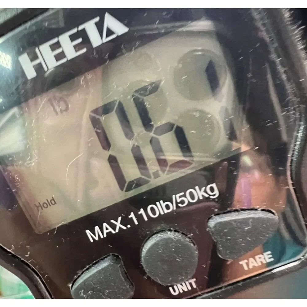 Chico's long jacket sz 2 sz 12 floral print green blue black sheer EUC - Picture 14 of 14